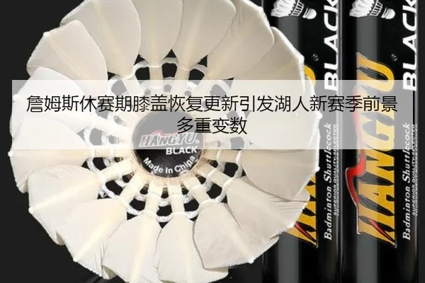 詹姆斯休赛期膝盖恢复更新引发湖人新赛季前景多重变数
