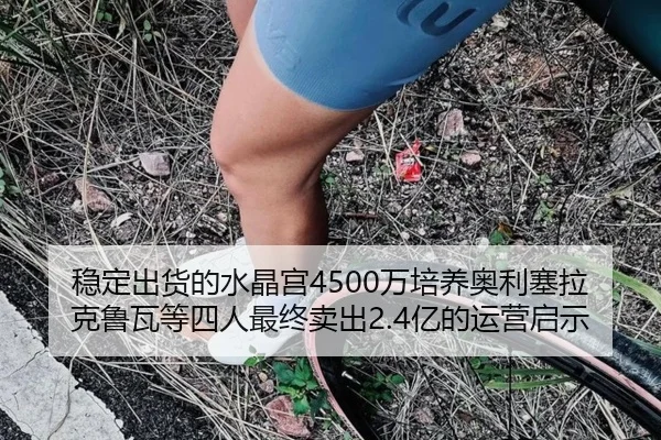 稳定出货的水晶宫4500万培养奥利塞拉克鲁瓦等四人最终卖出2.4亿的运营启示